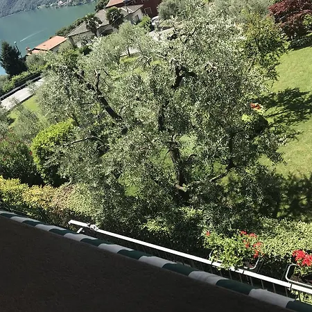 Lago Delle Orchidee Flat شقة *
